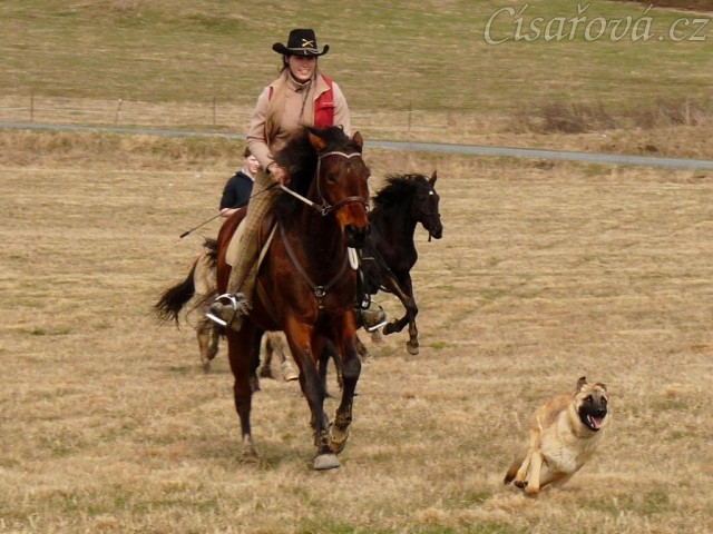 Agáta, Arwen a Samantha ve cvalu