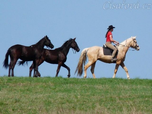 Carthago, Arwen a Tobiáš na vyjížďce