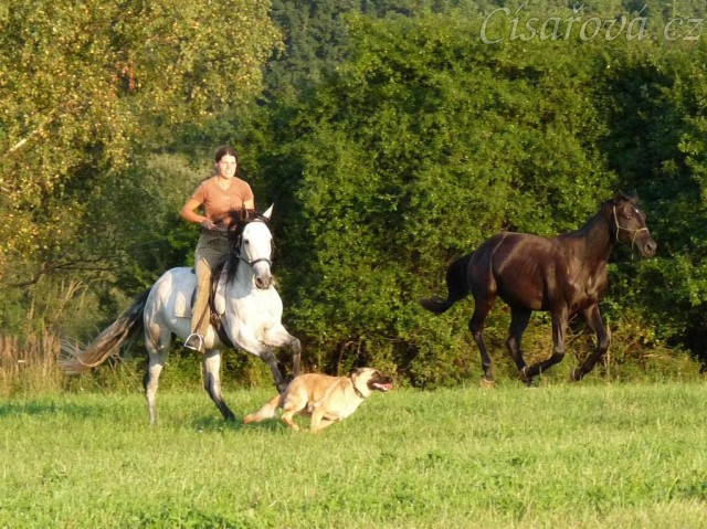 Carthago, Divo a Samantha na vyjížďce