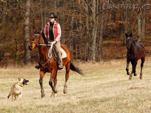 Agáta a Arwen na vyjížďce