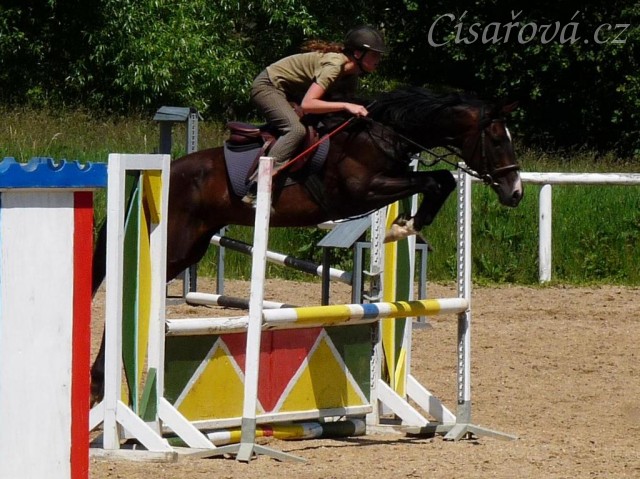 Durman při tréninku parkuru ve Všeticích