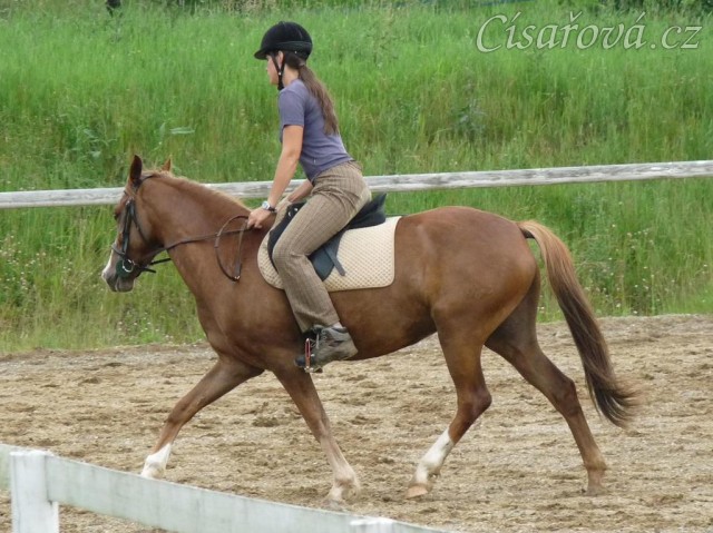 Guinevra na kolbišti ve Všeticích