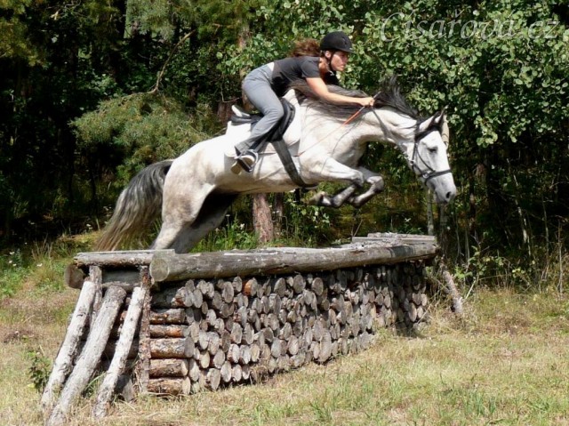 Divo překonává terénní skok na Hněvšíně