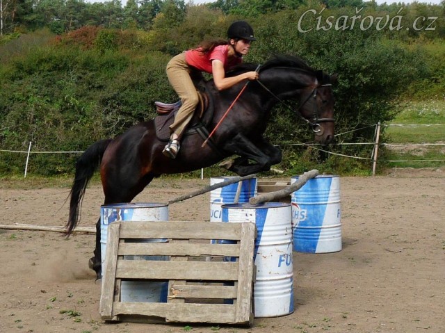 Maty skáče oxer ve skokové řadě
