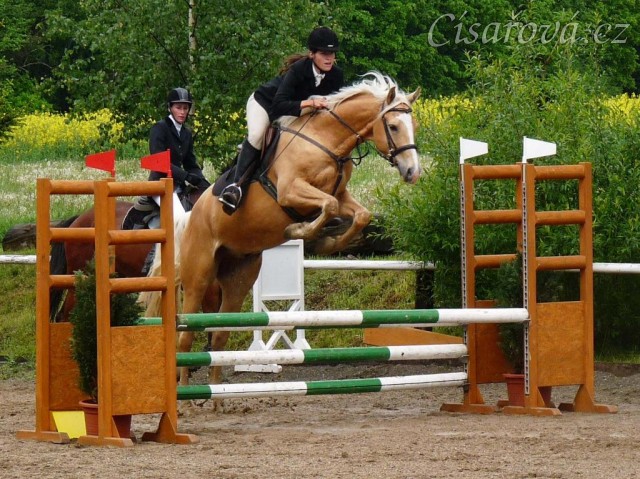 Tobiáš na závodech v Herouticích