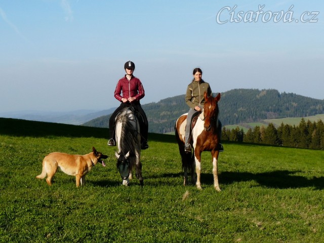 Vikina a Divík na našich pozemcích