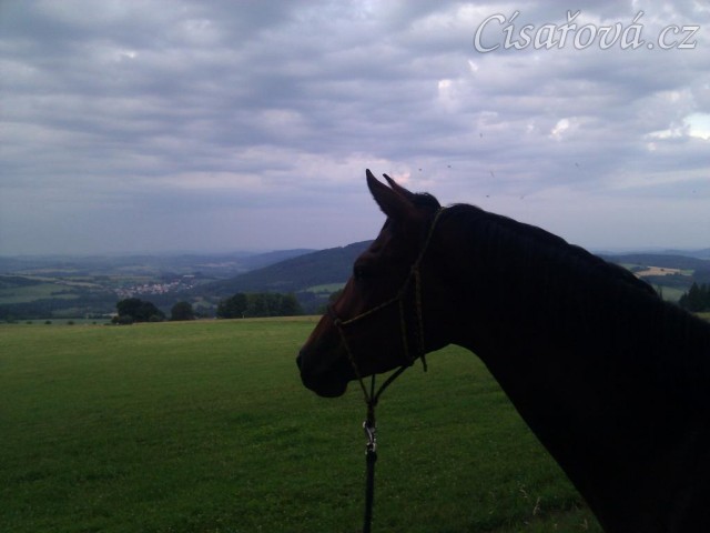 Chuezca na procházce udivená z výhledu:-)