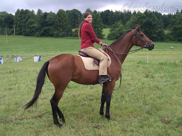 Chuezca a její první kroky s jezdcem