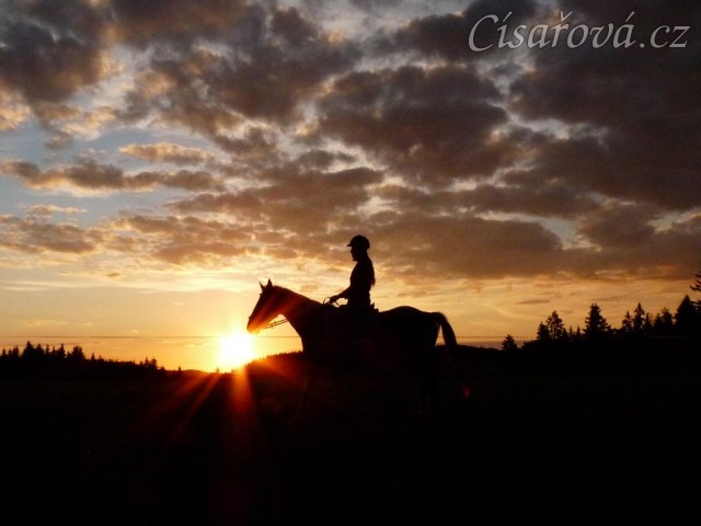 Trénink na jízdárně při západu slunce