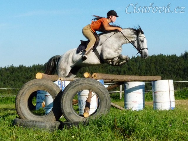 Divo při skokovém tréninku na jízdárně