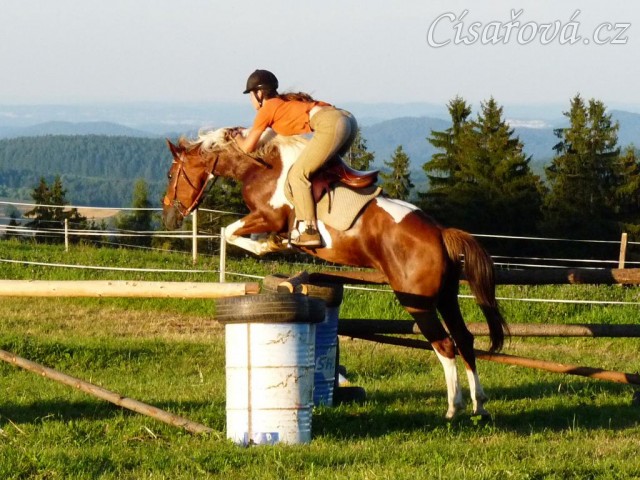 Vikina při skokovém tréninku na jízdárně