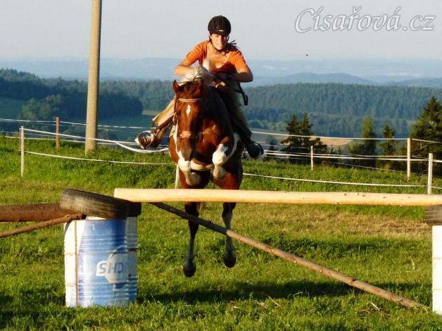 Vikina při skokovém tréninku na jízdárně