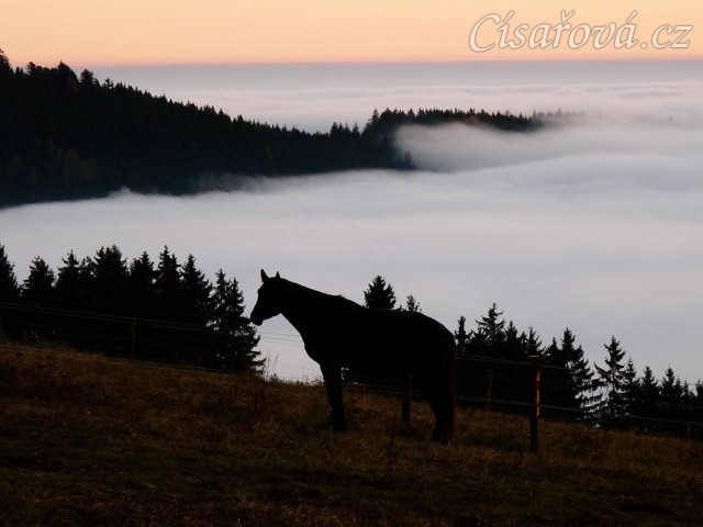 Svítání, začátek listopadu