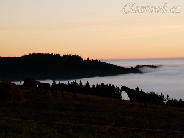 Svítání, začátek listopadu