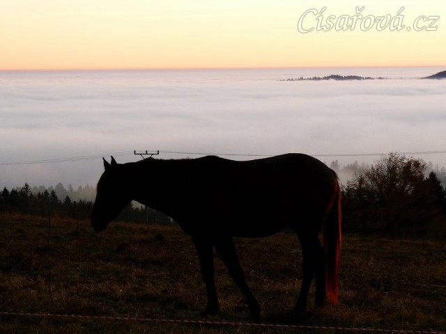Svítání, začátek listopadu