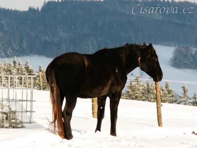 Carthago odpočívá