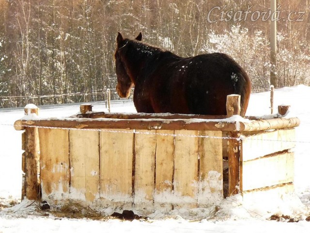 Monty odpočívá u sena