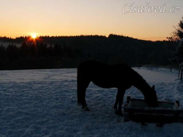 Pití vody při východu slunce