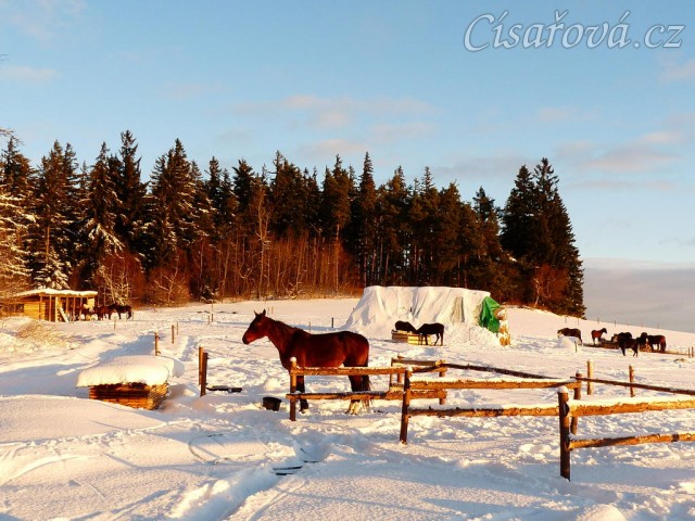 Agáta na "snídani"
