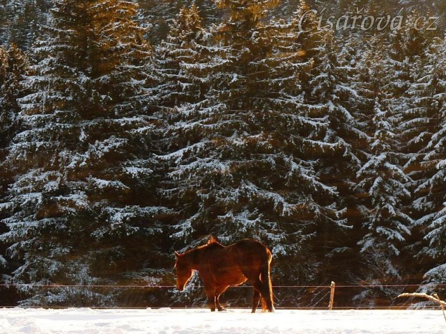 Agáta odchází po snídani