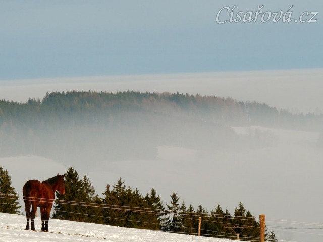 Acsara se kochá výhledem:-)