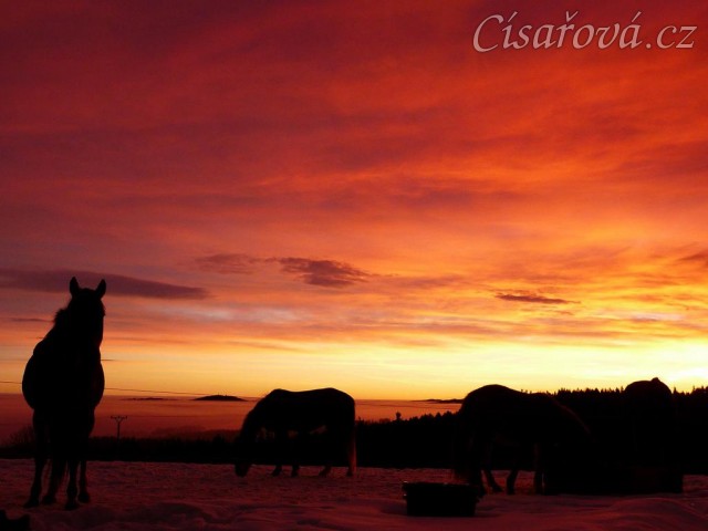 Východ slunce barví mlhu a nebe do neskutečných barev