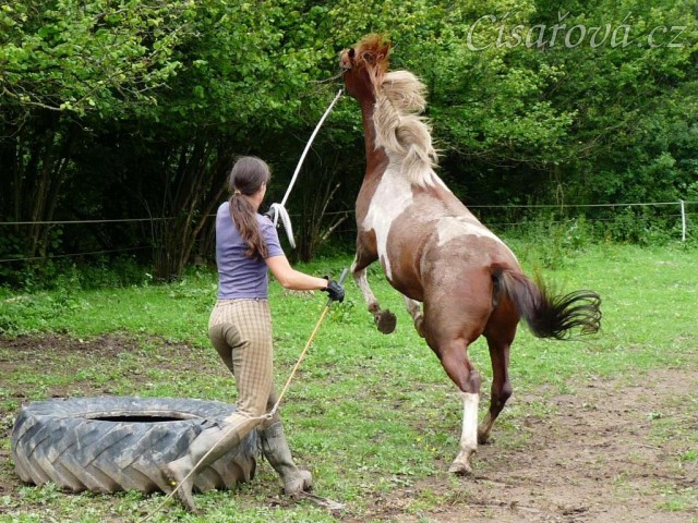 Začátky práce ze země - do pneumatiky nevlezu:-)