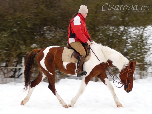Únor 2010, Vikina se umí pěkně vytáhnout v klusu dolů...