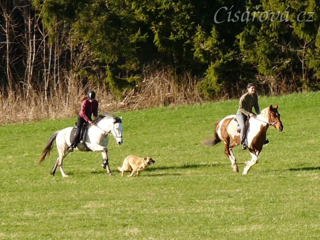 Duben 2010, nic není nad to se pořádně proběhnout...