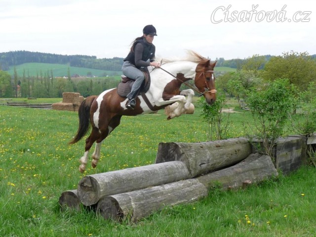 Květen 2010, první trénink crossových skoků, Pecínov. Viki měla ze začátku z pevných překážek velký respekt