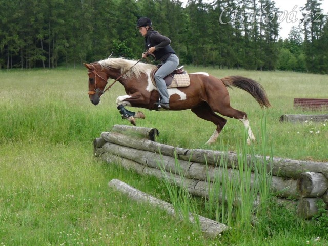 Červen 2010, trénink crossu v Pecínově, seskok s příkopem