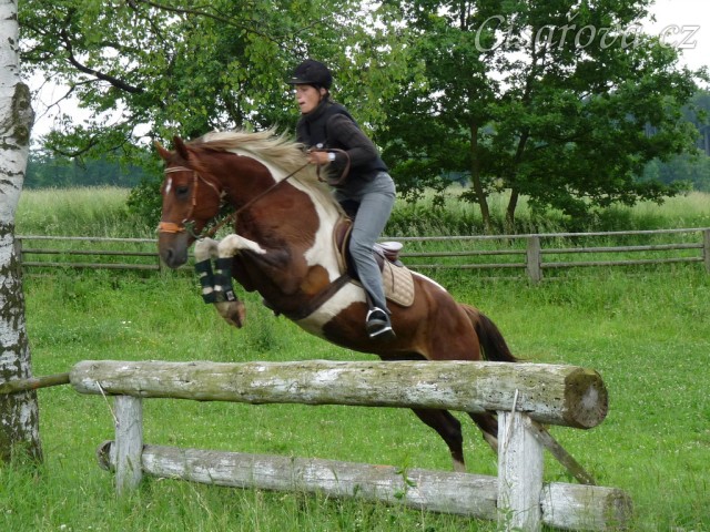 Červen 2010, trénink crossu v Pecínově, skok nad potokem