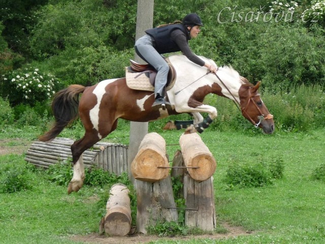 Červen 2010, trénink crossu v Pecínově, velký oxer