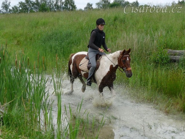 Červen 2010, trénink crossu v Pecínově, cválání vodou