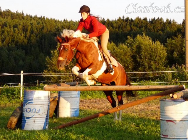 Srpen 2010, skákání na jízdárně v Čeleticích při zapadajícím slunci