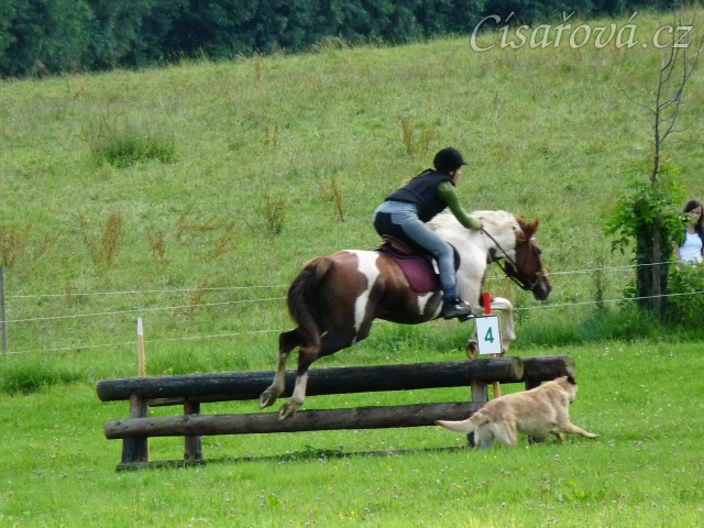 Srpen 2010, crossový trénink v Borové, Samantha asistuje:-)
