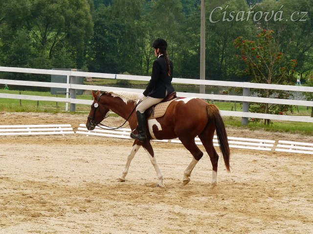 Září 2010, závody všestrannosti v Borové, konec drezurní úlohy
