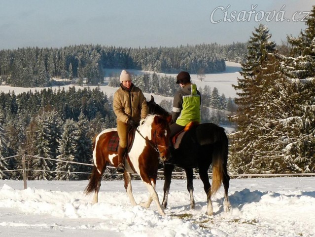 Prosinec 2010, drezurní práce
