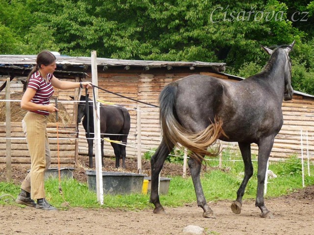 Kasira při práci ze země - konec ustupování
