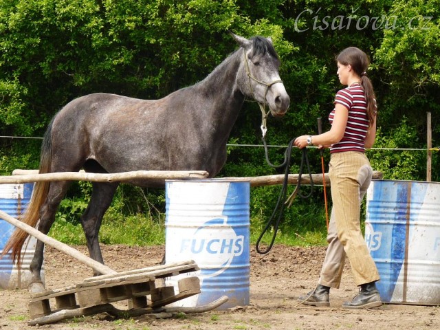 Kasira při práci ze země - zacouvání mezi sudy