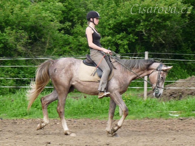 Dukát při práci na jízdárně - přechod do zastavení