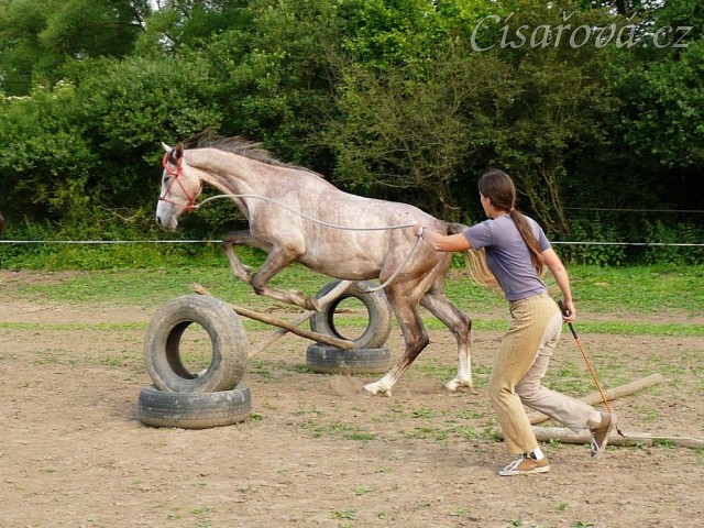Dukát při práci ze země - skok přes křížek