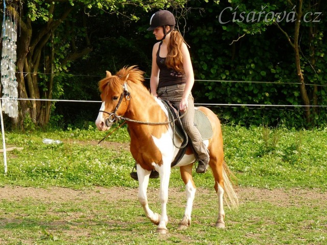 Mikey pod sedlem - kruh v kroku