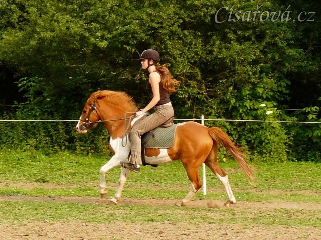 Mikey pod sedlem - cval