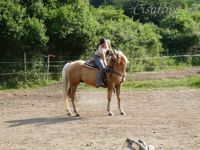 Jacs při ježdění na jízdárně - odměna:-)
