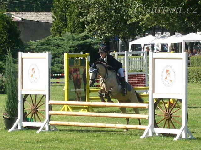 Parkur LPA, 1. kolo mistrovské soutěže