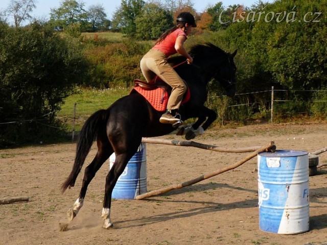 Podzim 2009, skákání skokové řady pod sedlem