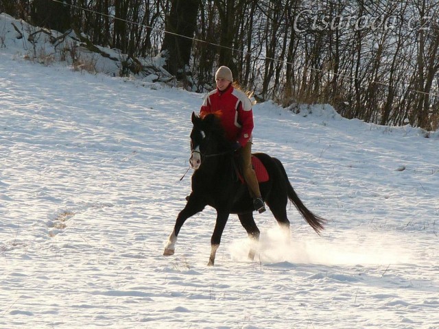 Zima 2010, na vyjížďce