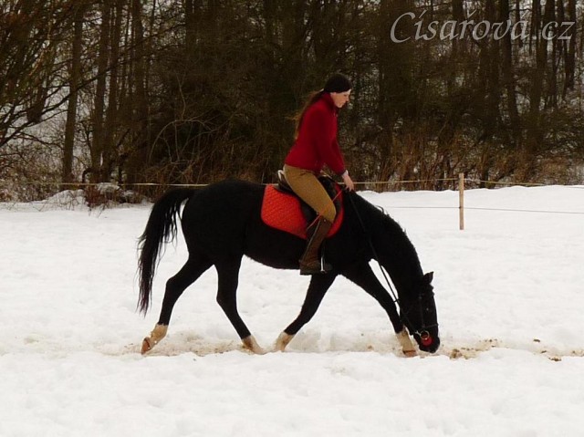 Únor 2010, Grant se umí vytáhnout v klusu dolů