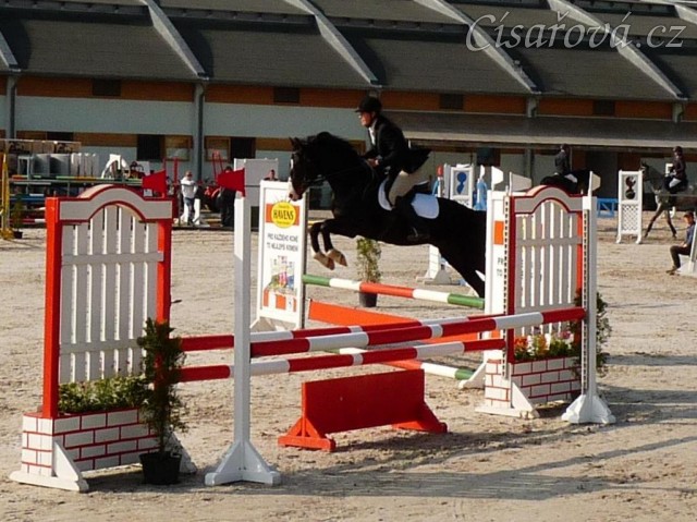 Duben 2010, Grant a první kolo ČŠMK